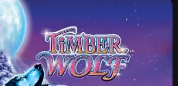 Timber Wolf